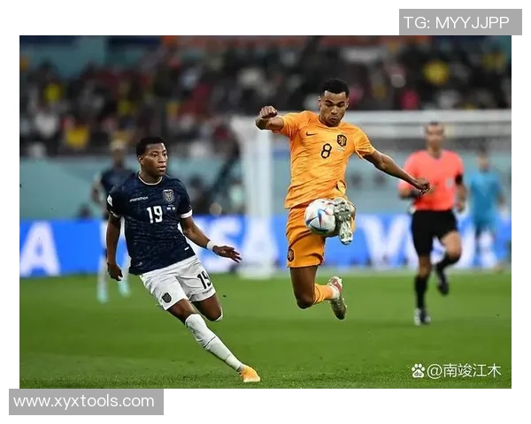 广州网球队在世界杯积分榜上以73分稳居第一名展现强劲实力