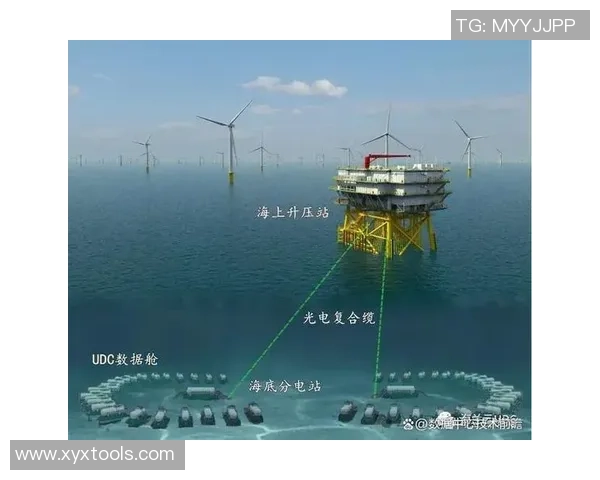 成都乒乓球队转型之路的挑战与机遇全景解析